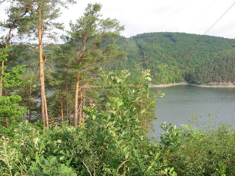 img00099.jpg